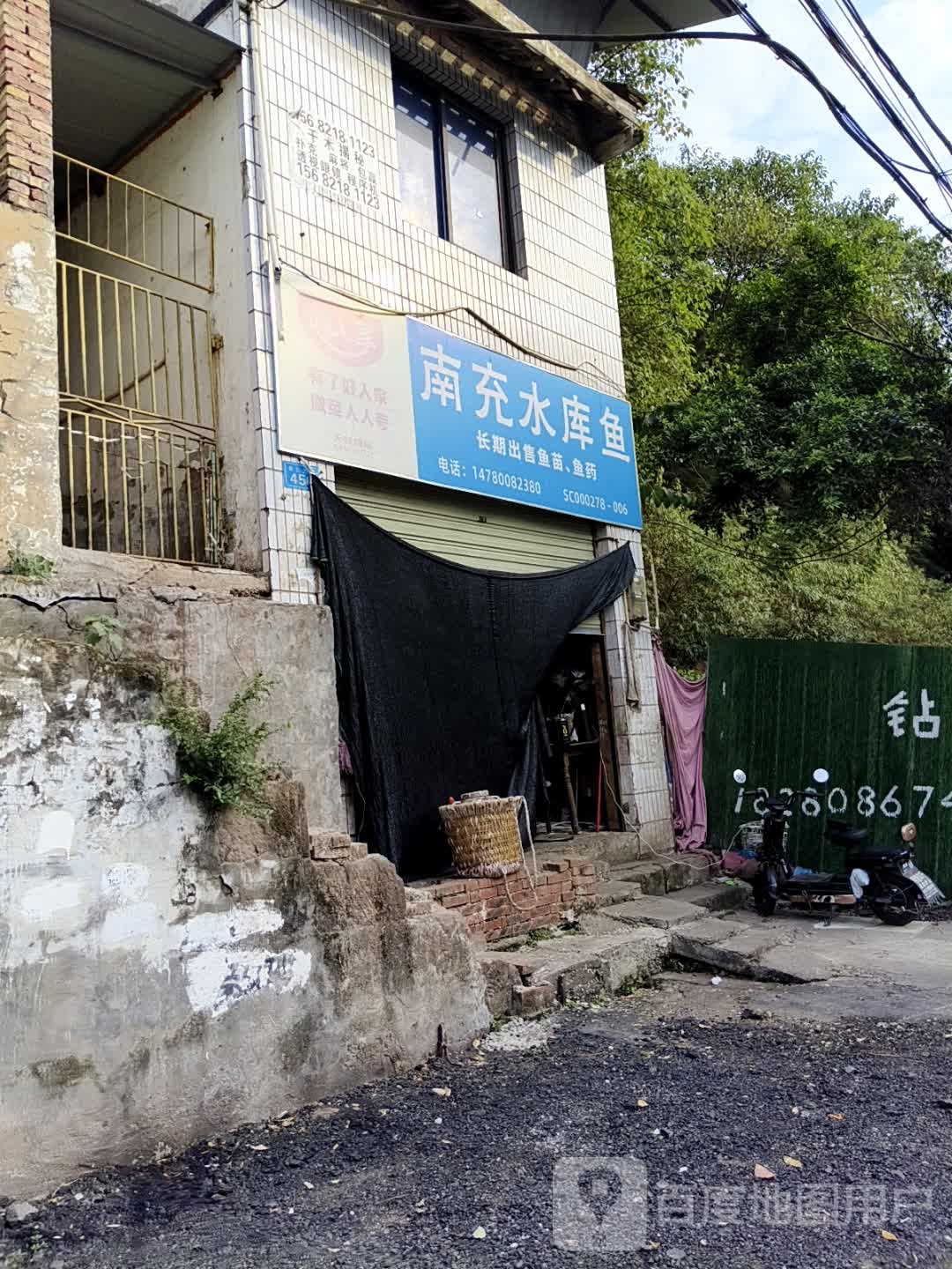 南充水库鱼(固佳豪爵店)