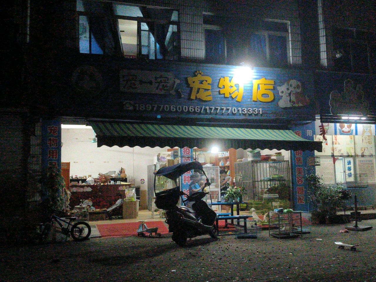 宠一宠宠物店