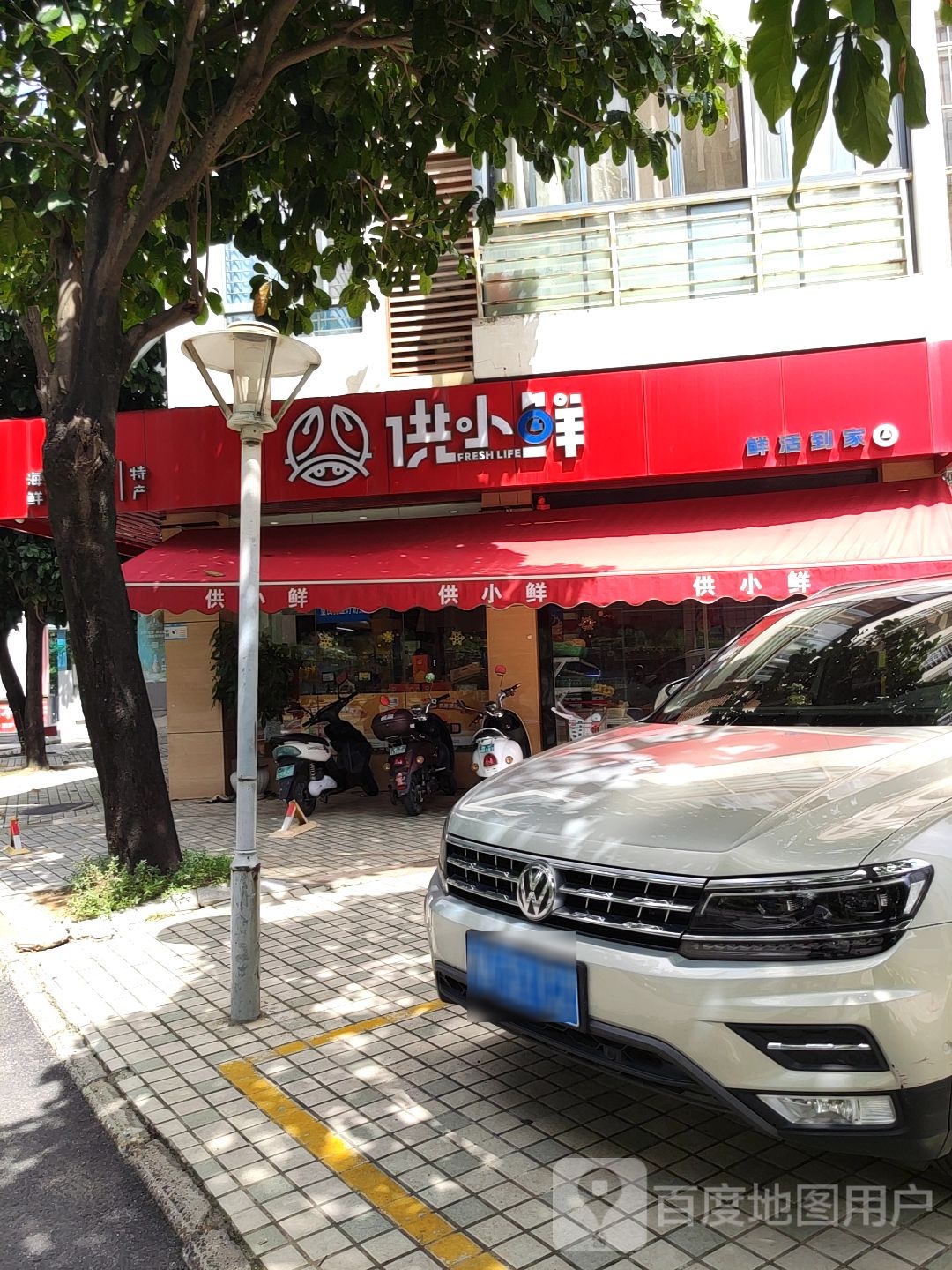供小鲜
