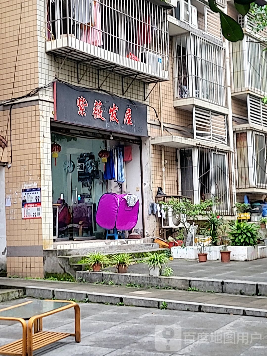 紫薇发屋