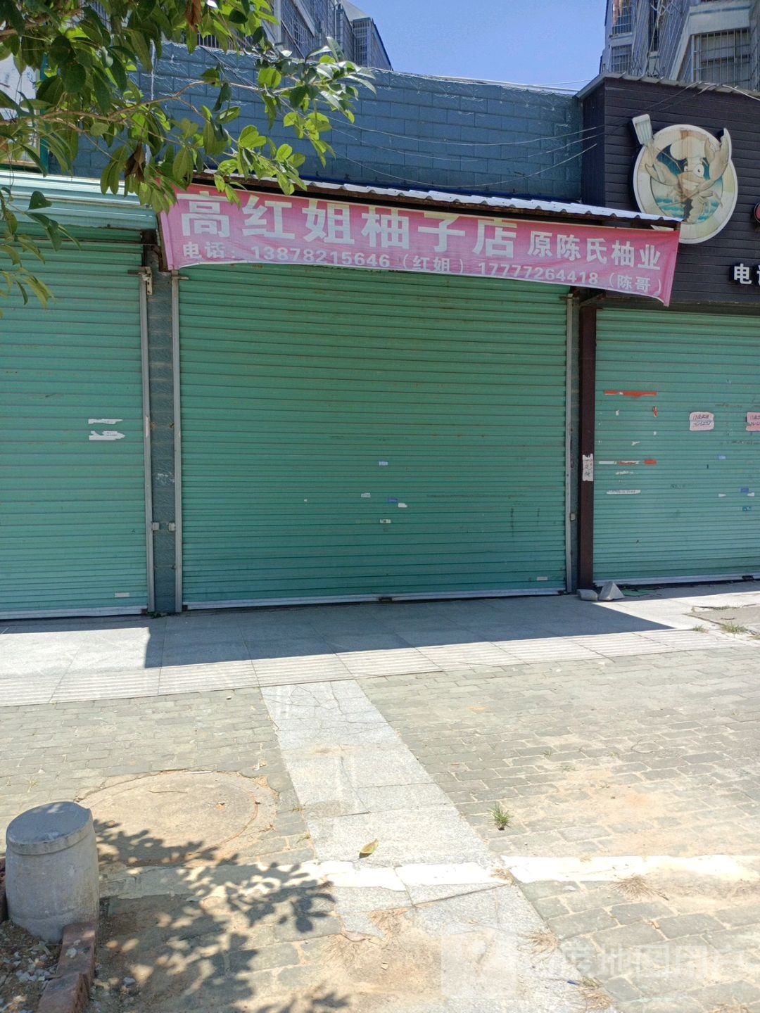 高红姐柚子店