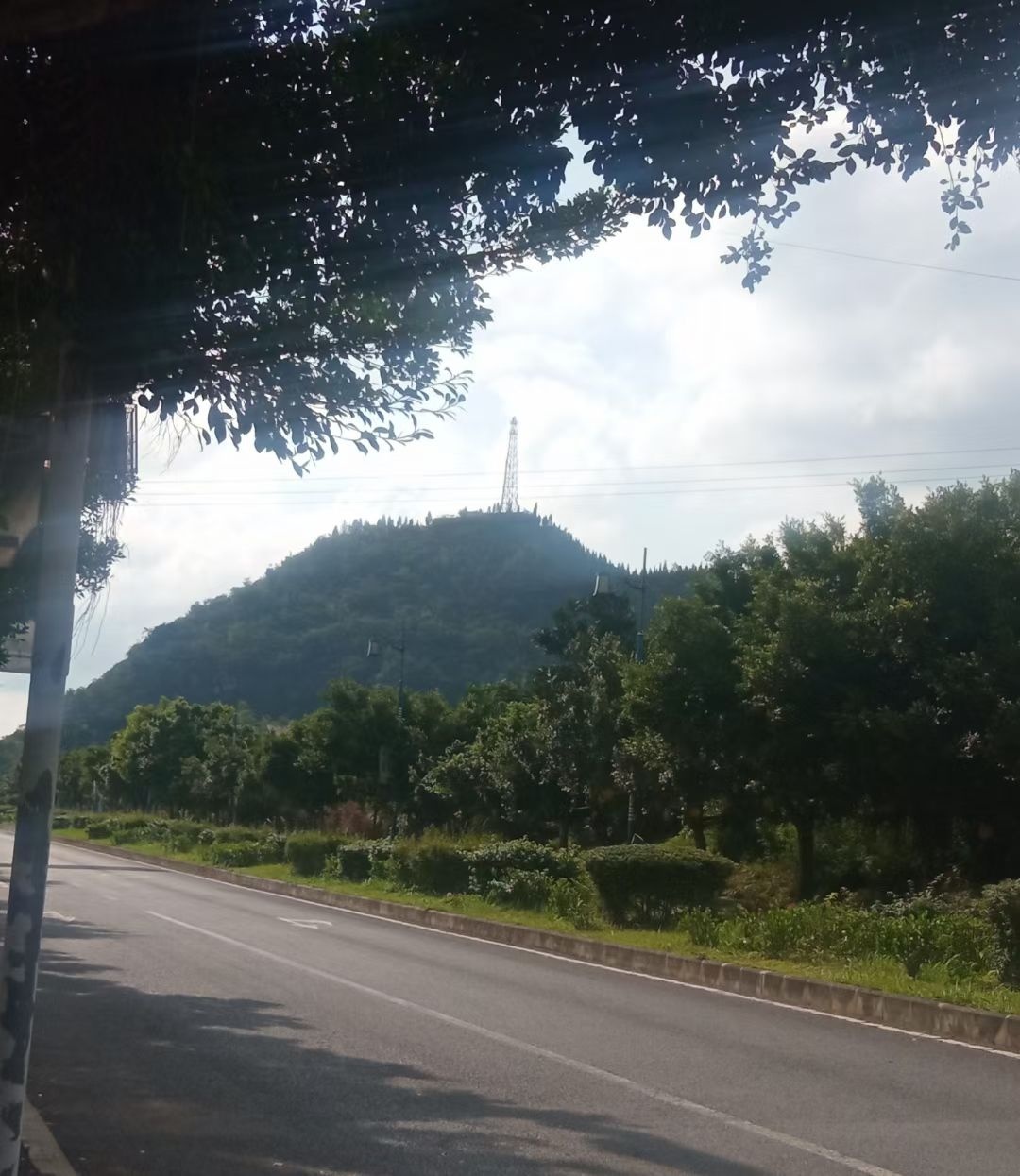 者相镇