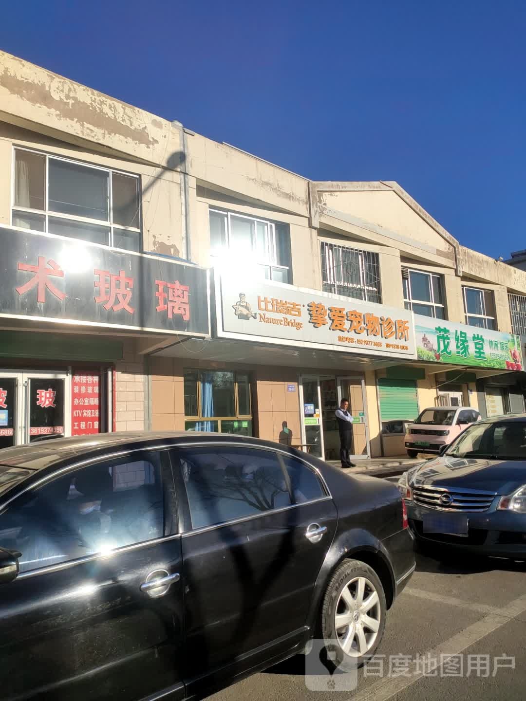 挚爱宠物诊部(文化南路店)