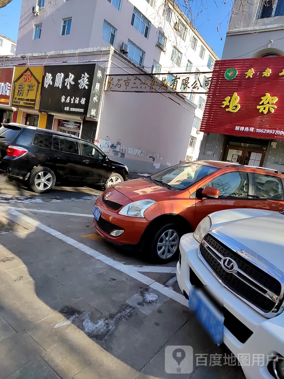 泓朋水族