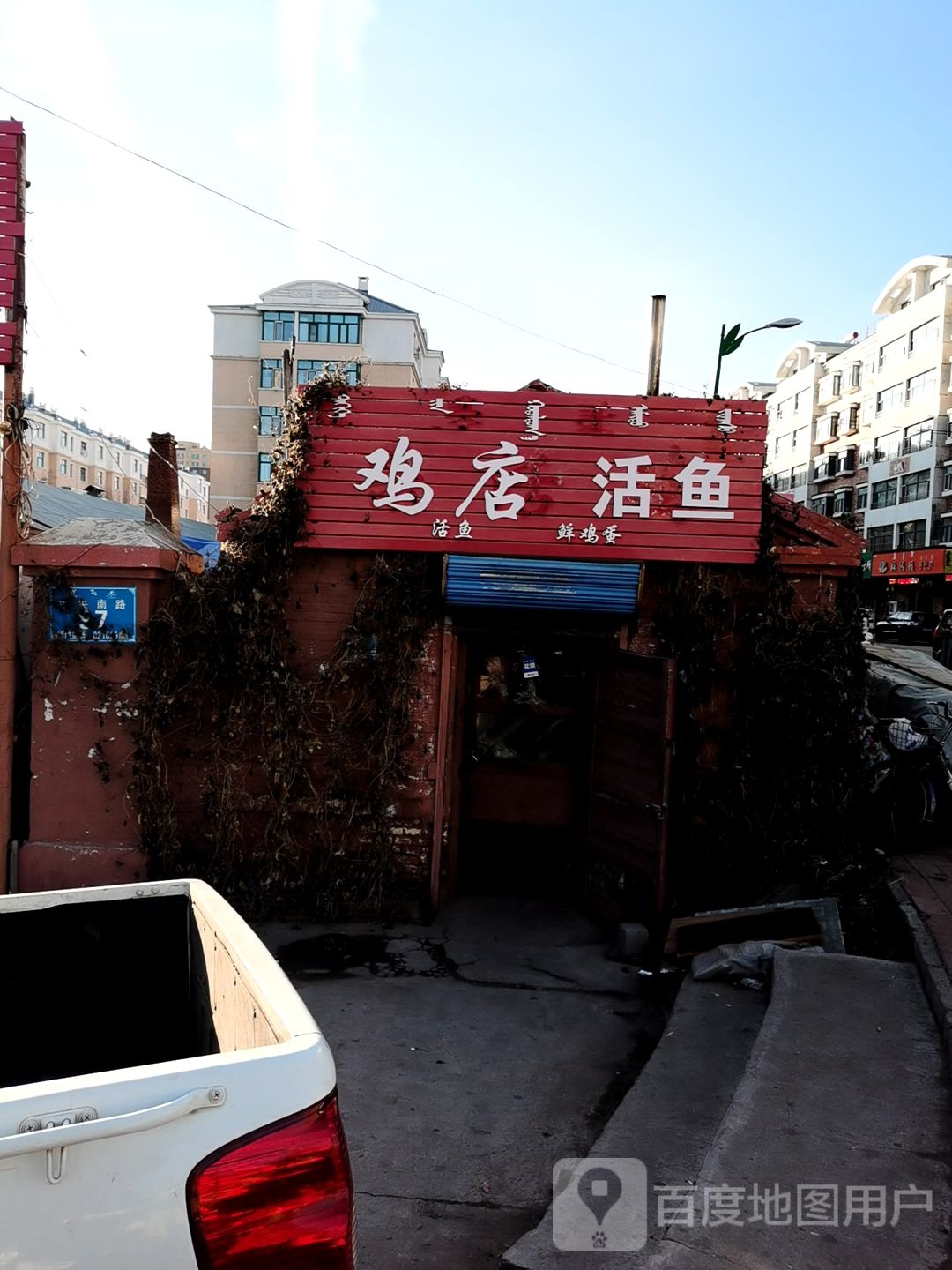 鸡店活鱼