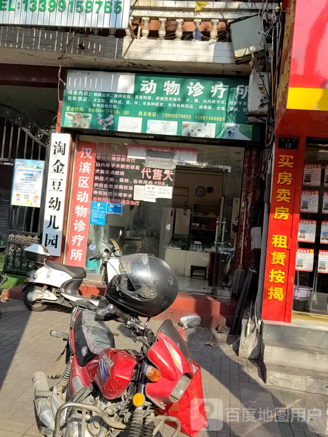 李金统动物诊所