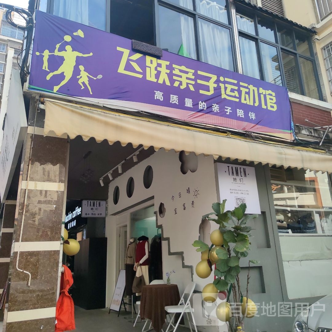 飞跃羽毛球