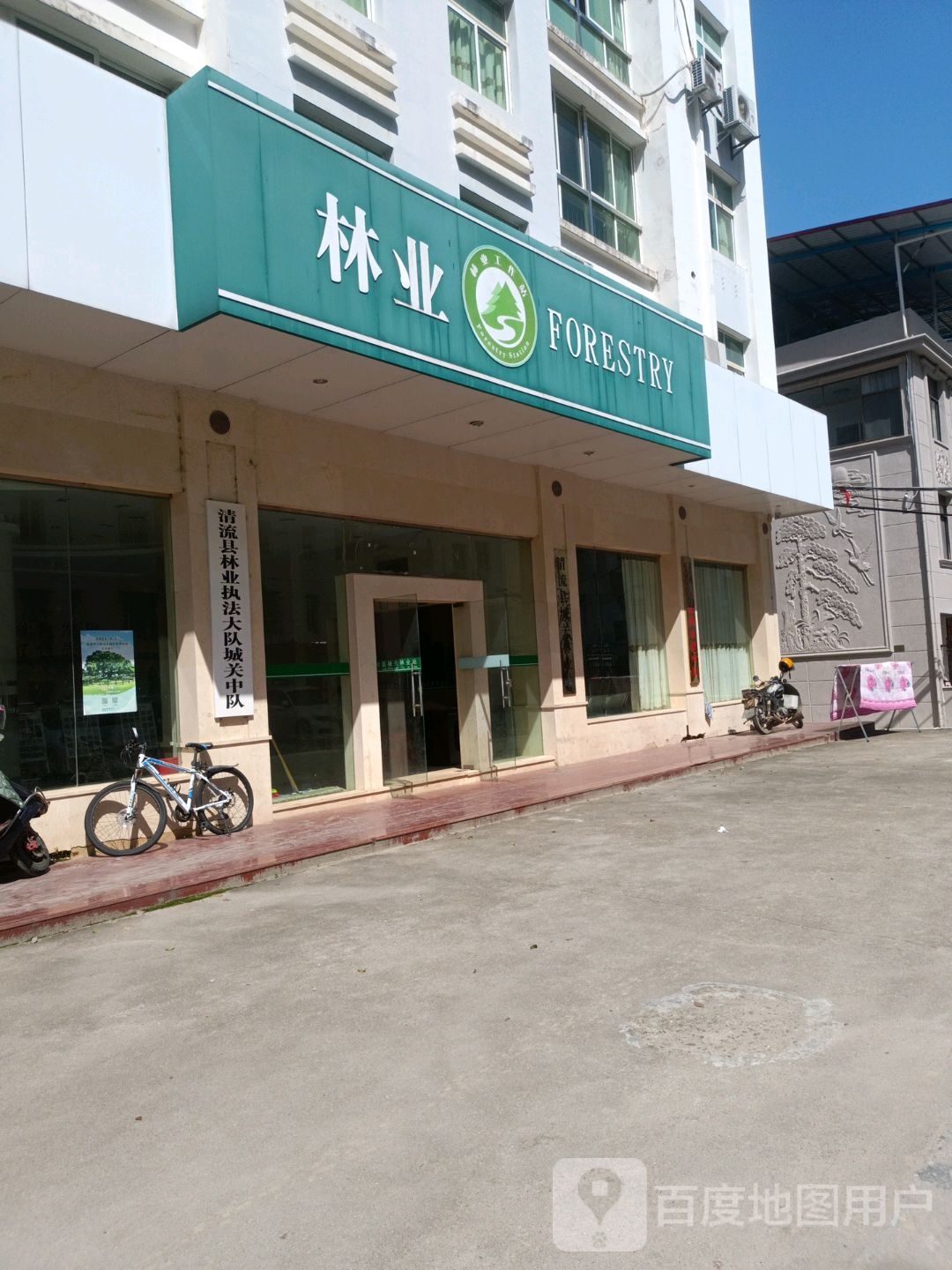 清流县城关林业站