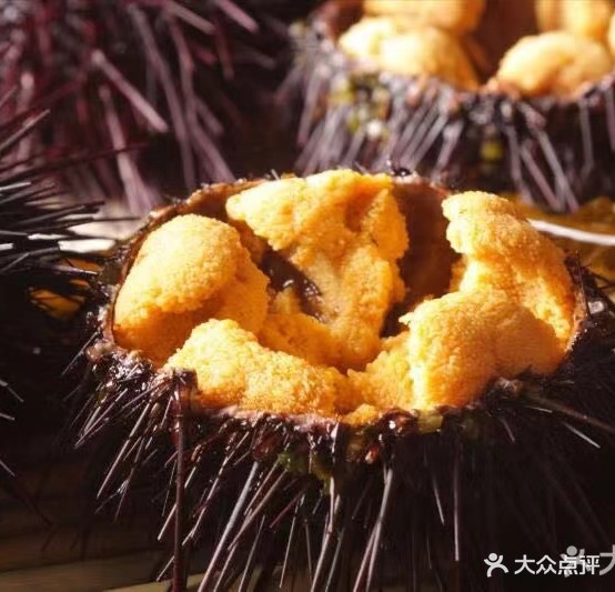 星空本料理料理