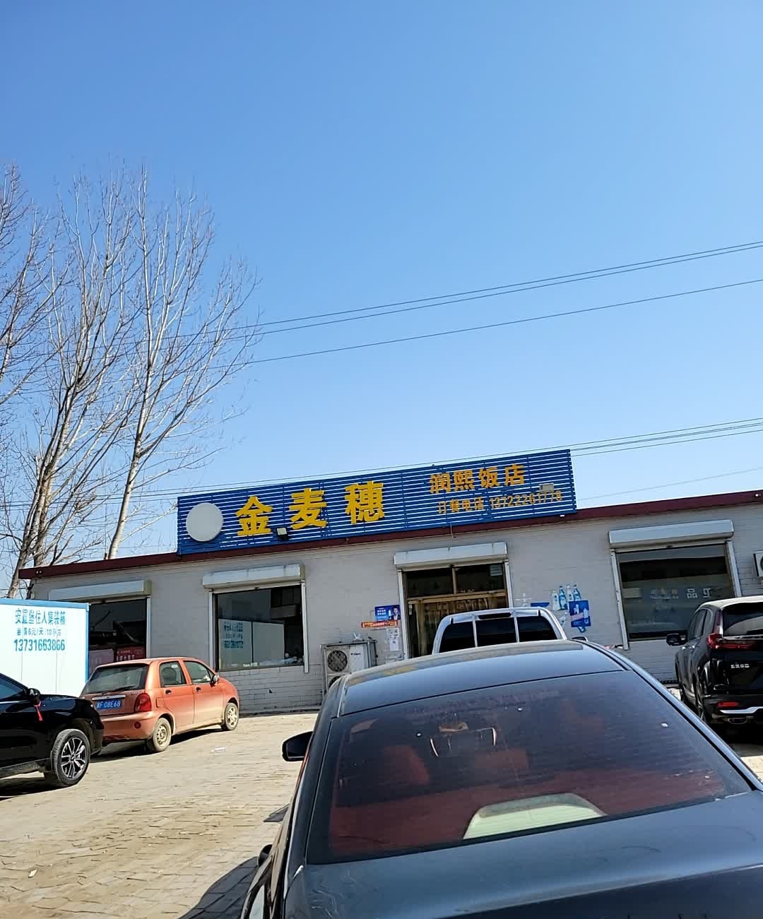 金麦穗(兴园路店)