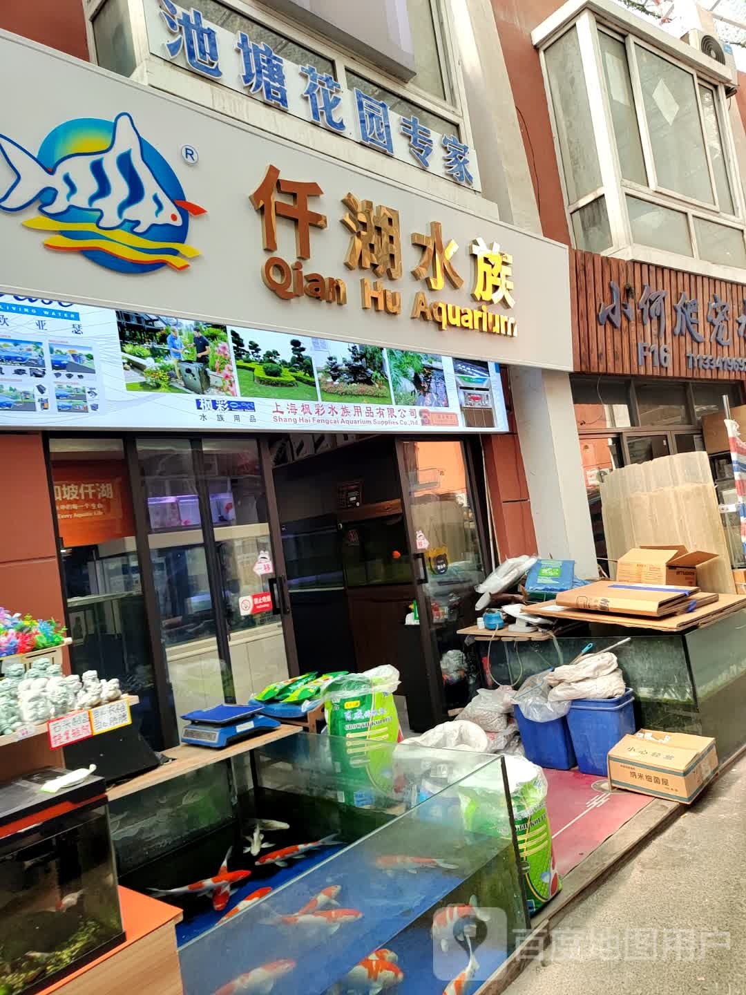 仟湖水族(新沪路店)