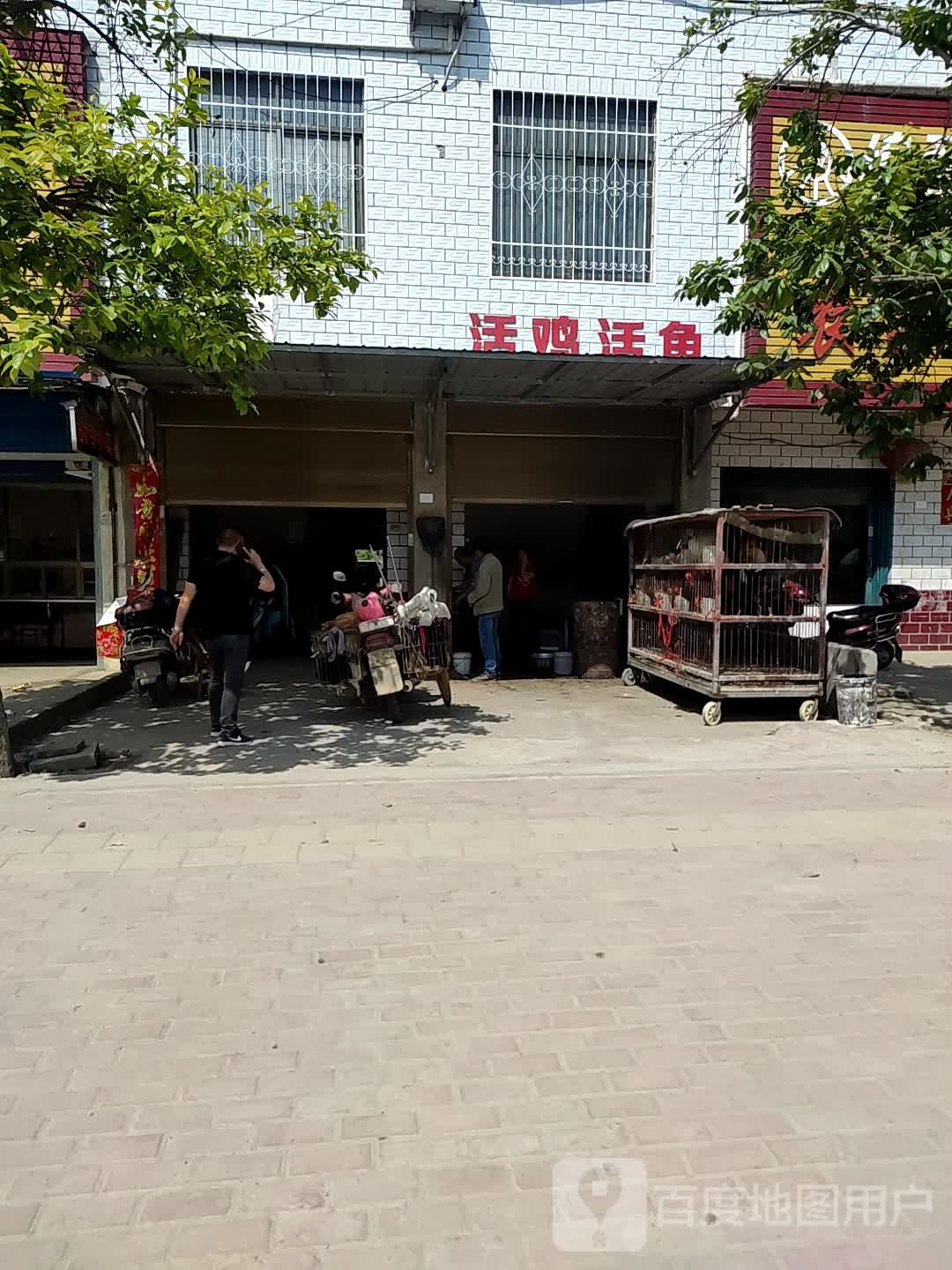 卧龙区王村乡活鸡活鱼(S327店)