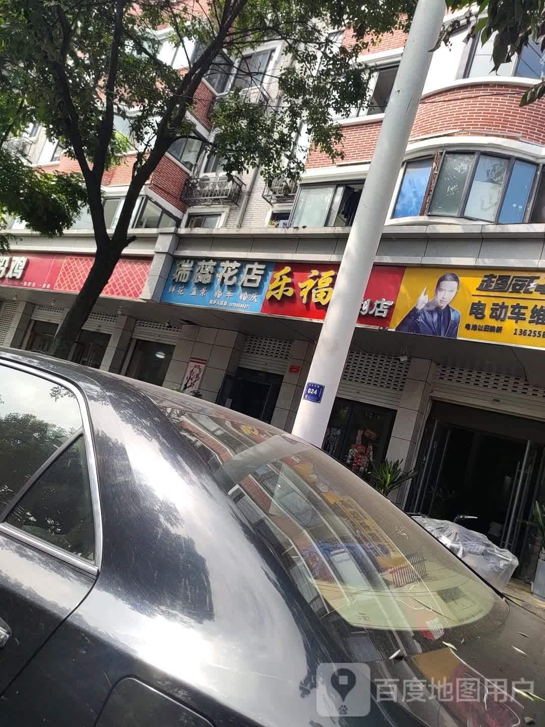 瑞蕊花点