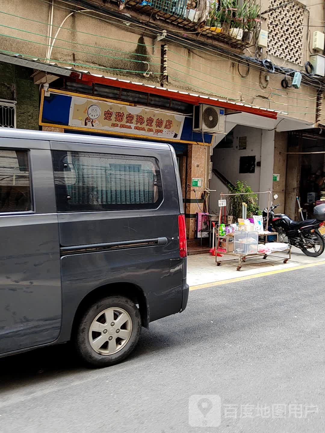 宠猫宠狗宠物店