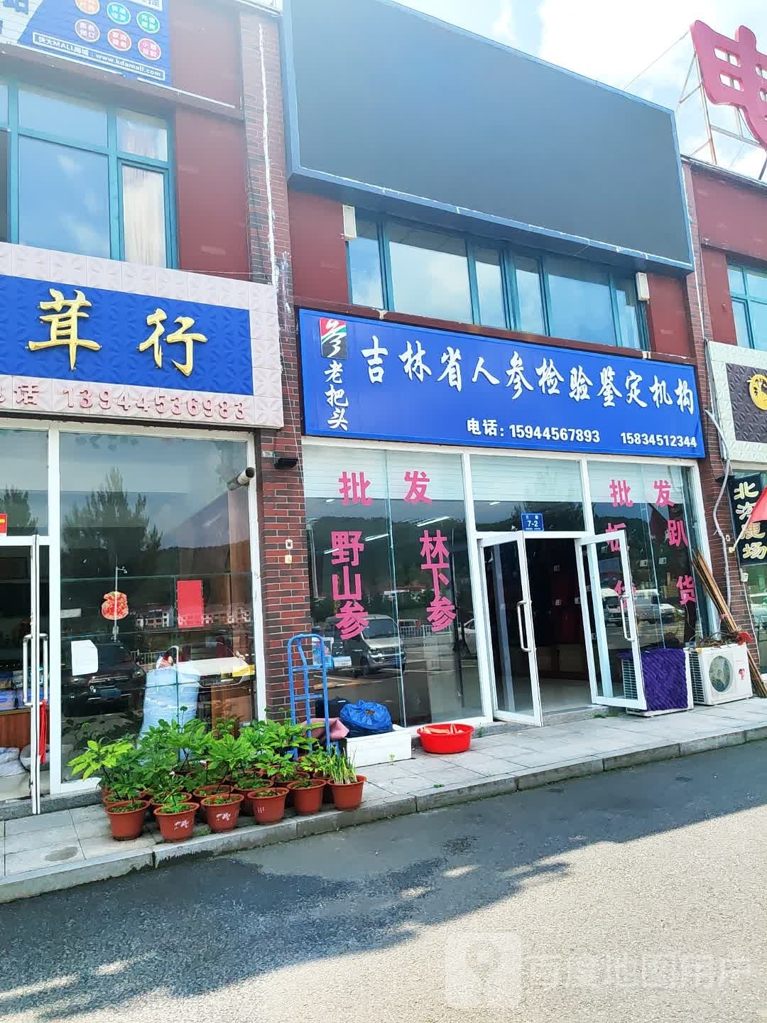 老把头吉林省人参检验鉴定机构