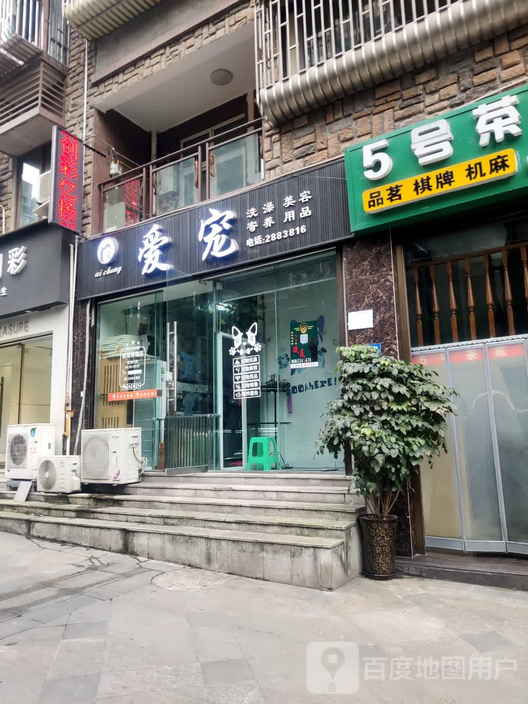 爱宠动物店