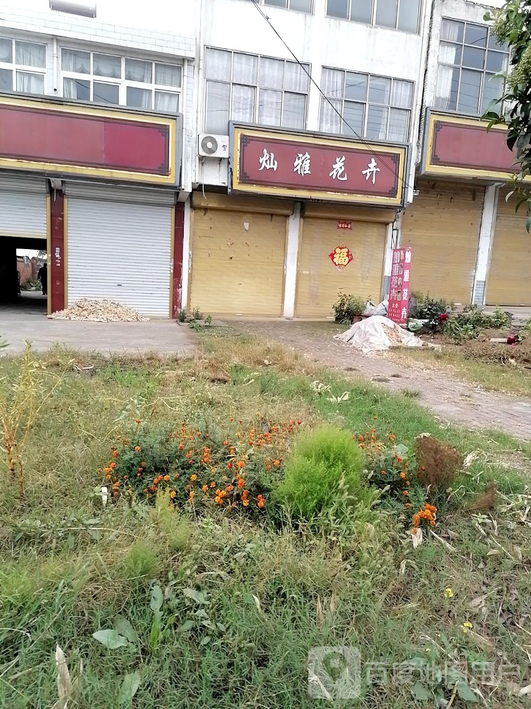 平舆县东和店镇灿雅花卉