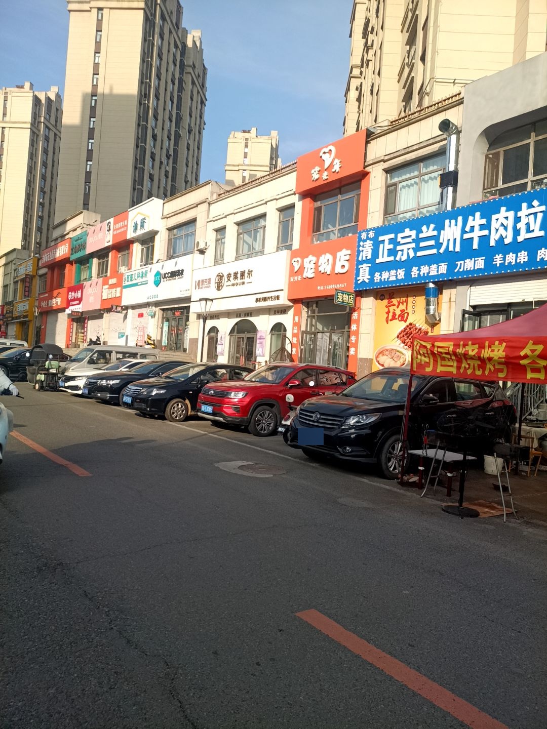 宠光年宠物(东方伟业公园道一号店)