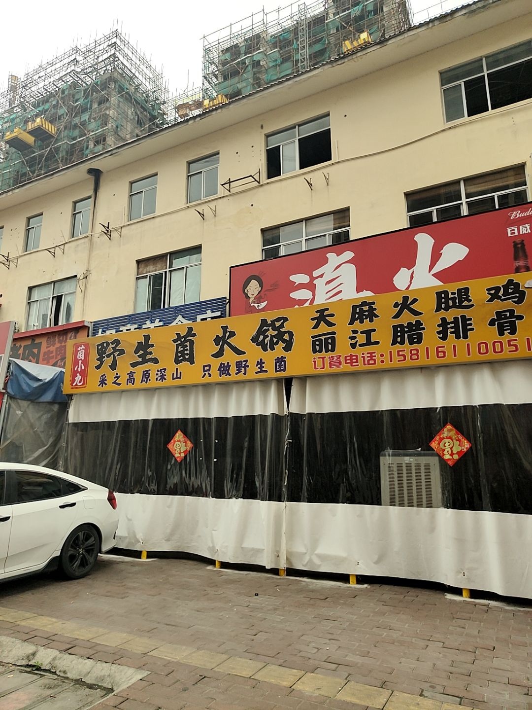 菌小九野生菌火锅