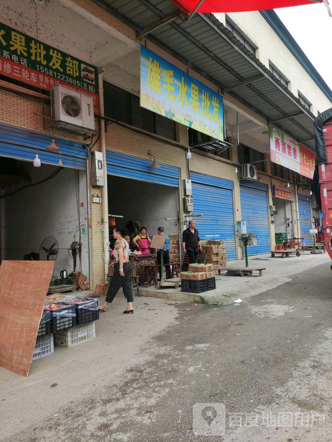 雄毛水果批发
