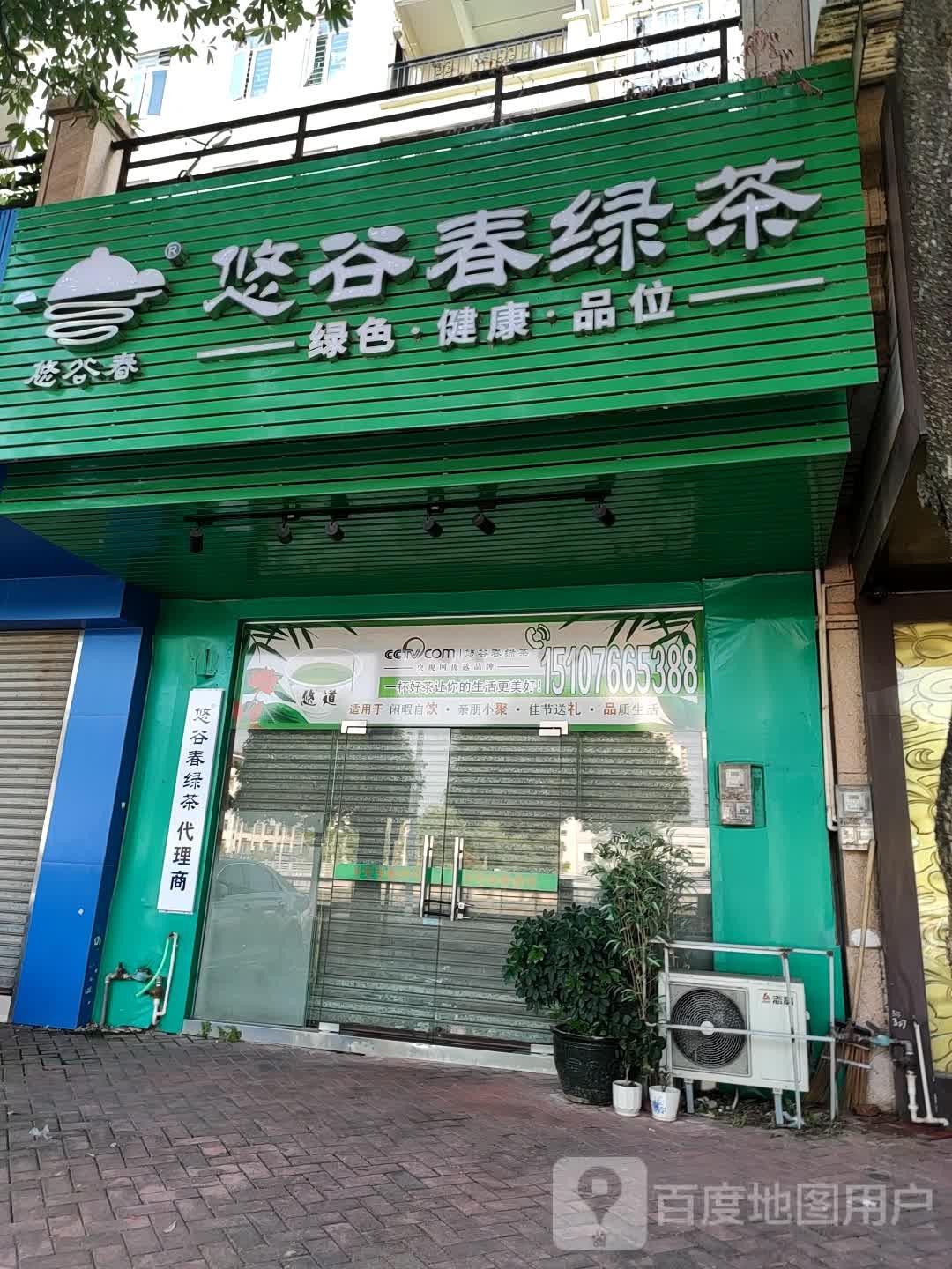 悠谷春绿茶
