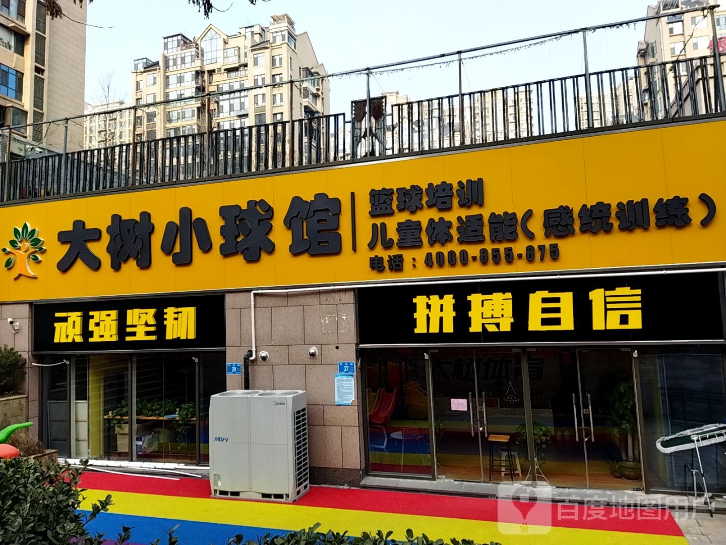 大树小篮球