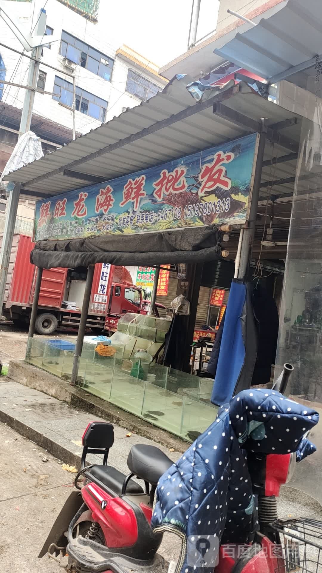 鲜旺龙海鲜批发