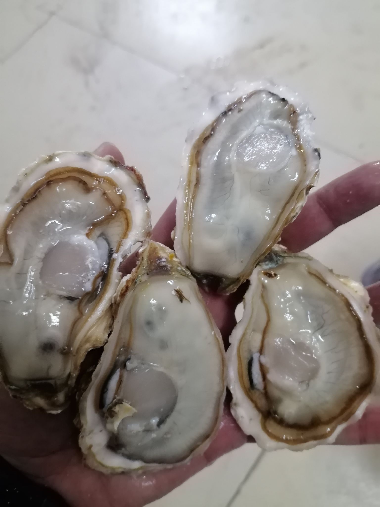 小雷生蚝批发(惠环店)