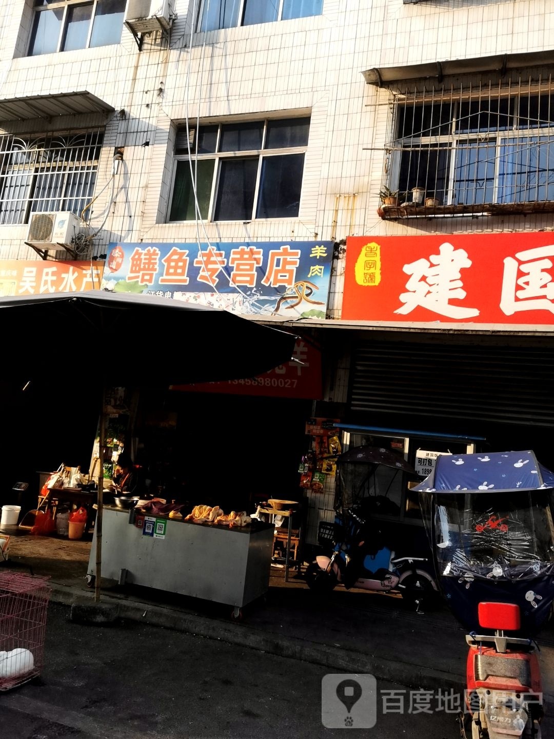 鳝鱼专供店