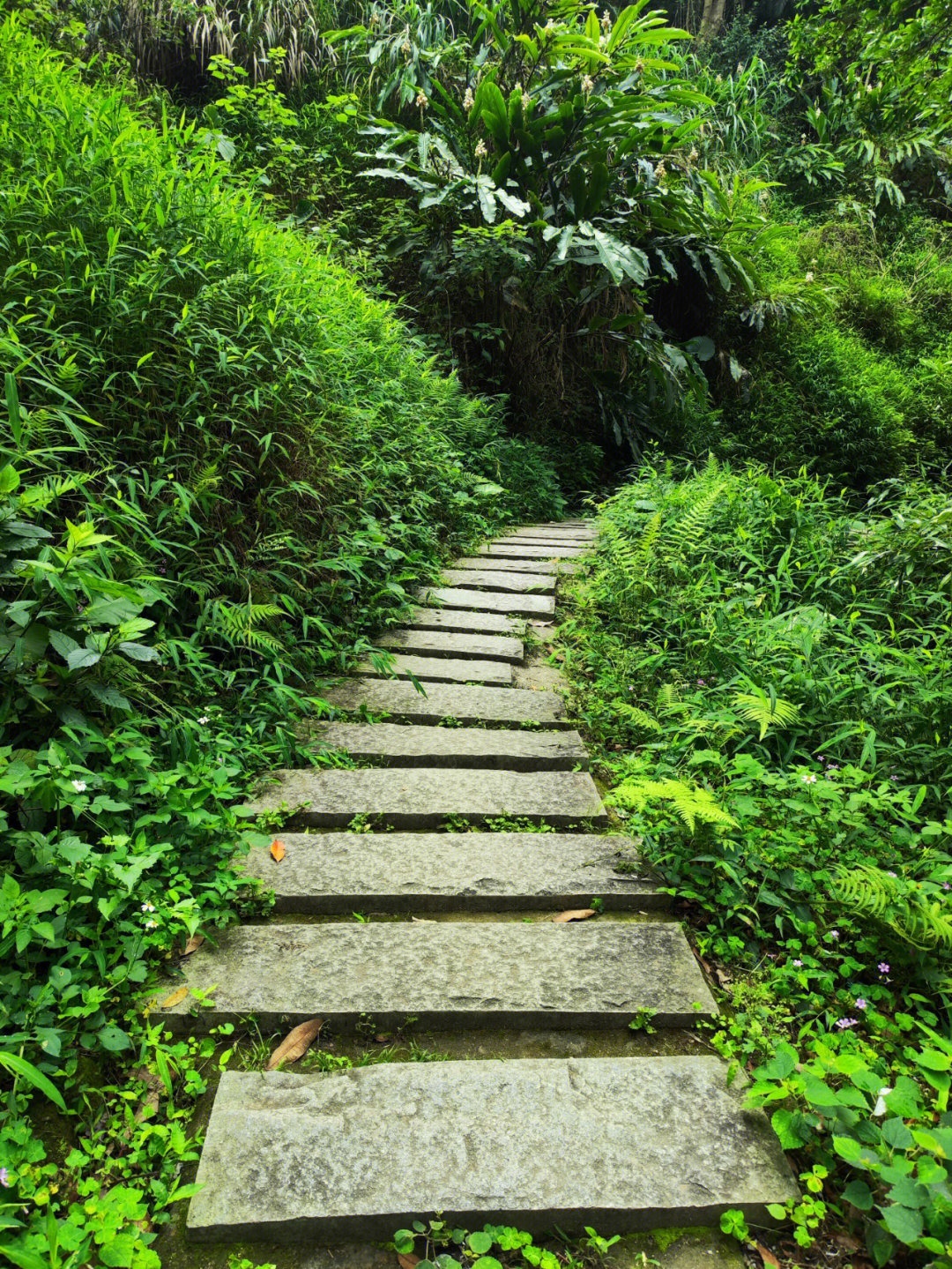 大阳台山旅游区