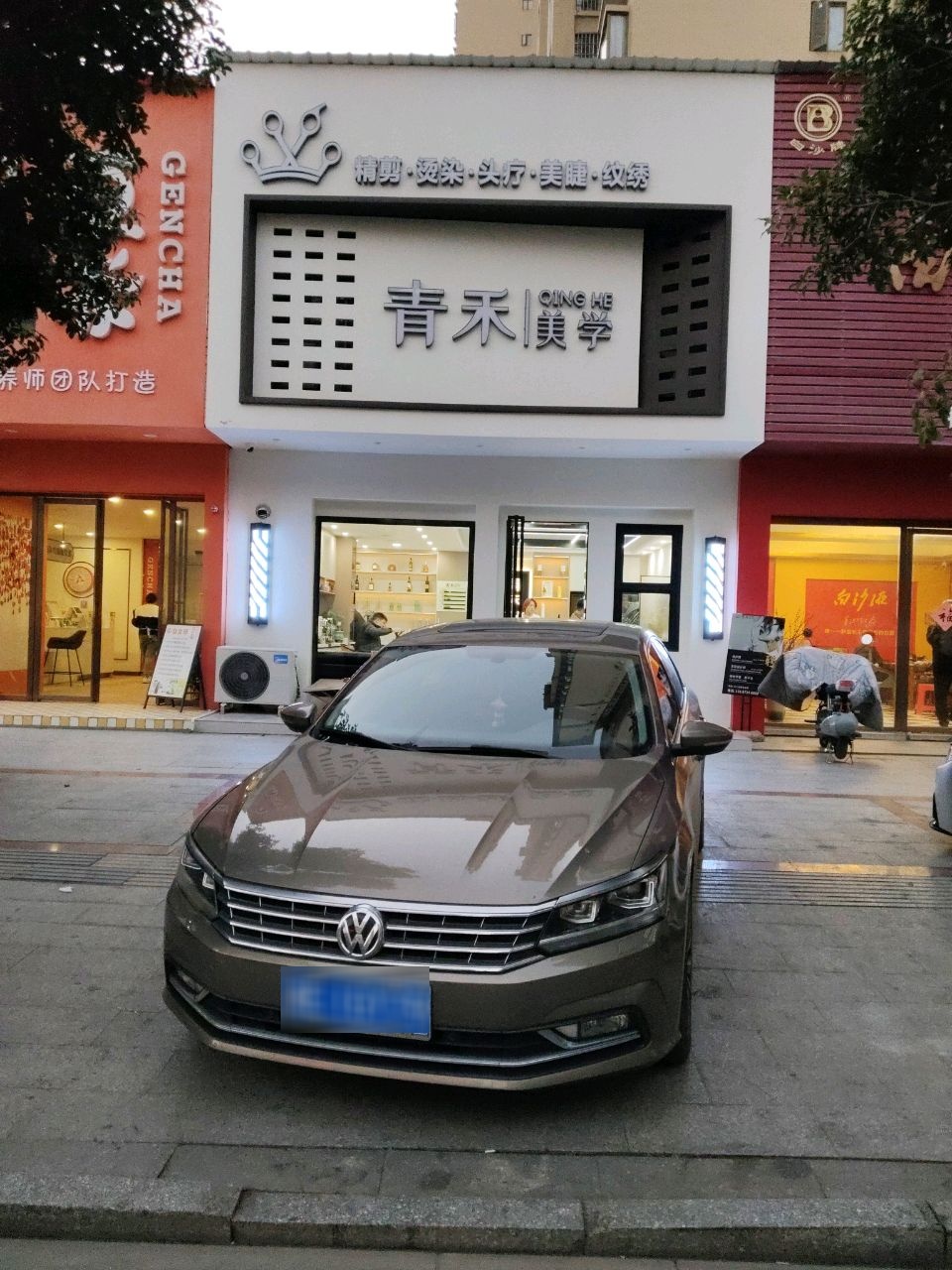 青禾美学