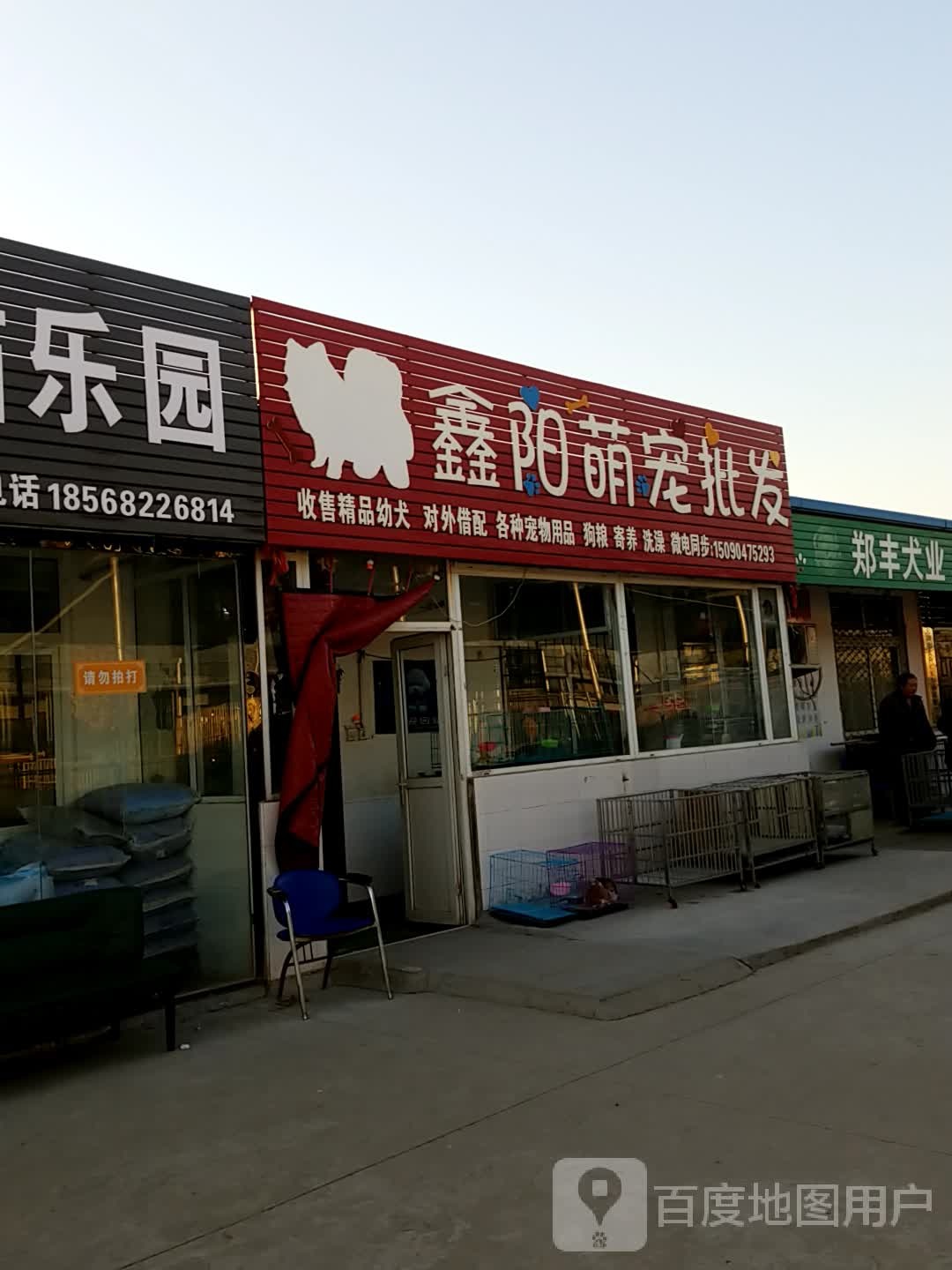 鑫阳萌宠批发