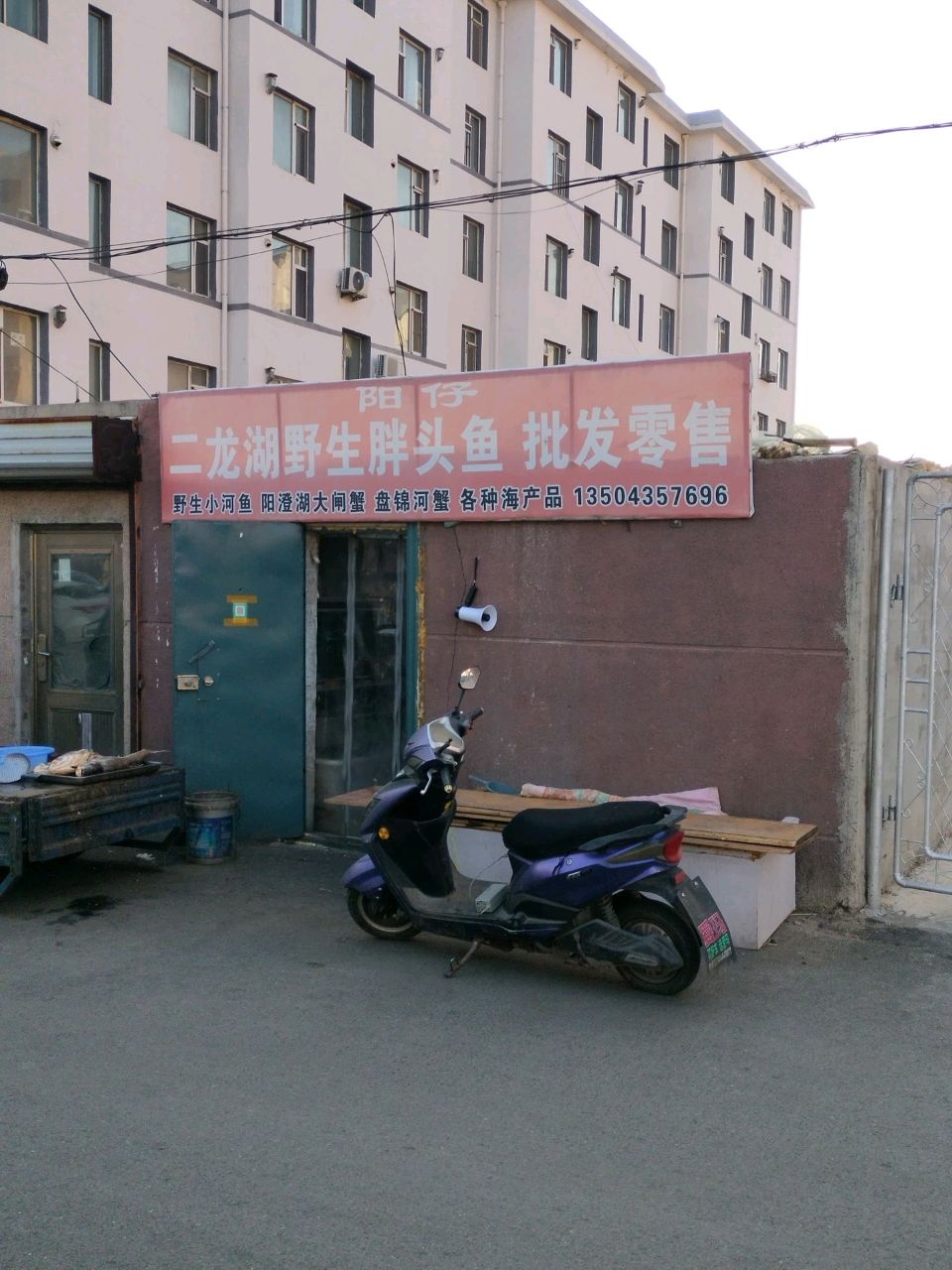 阳仔二龙湖野生胖头鱼批发零售