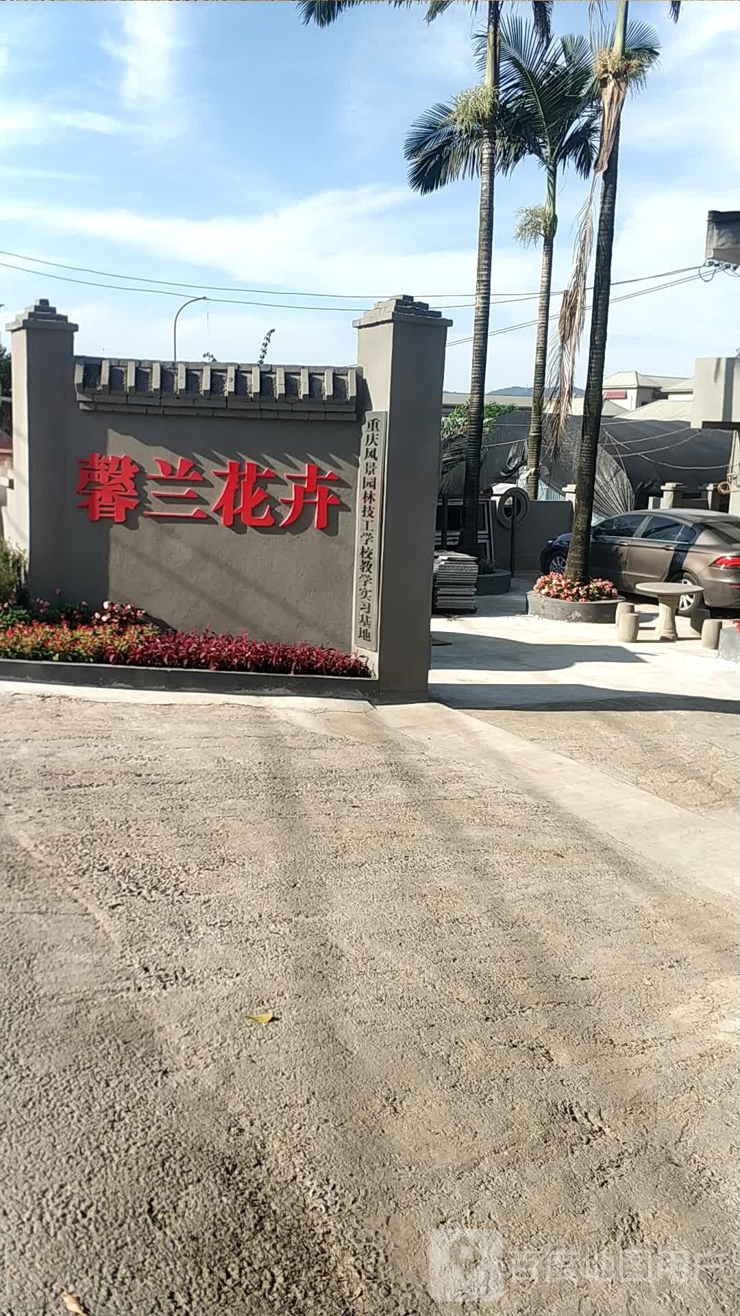 九龙坡区馨兰花卉