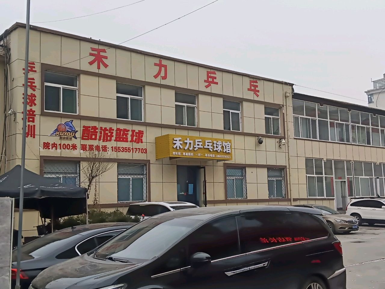 禾力乒乓