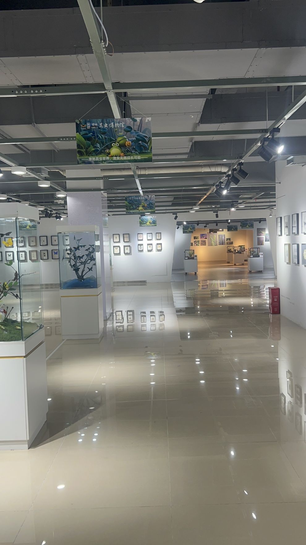 深圳活体昆虫博物馆(OPLAZA欢乐海岸购物中心深圳店)