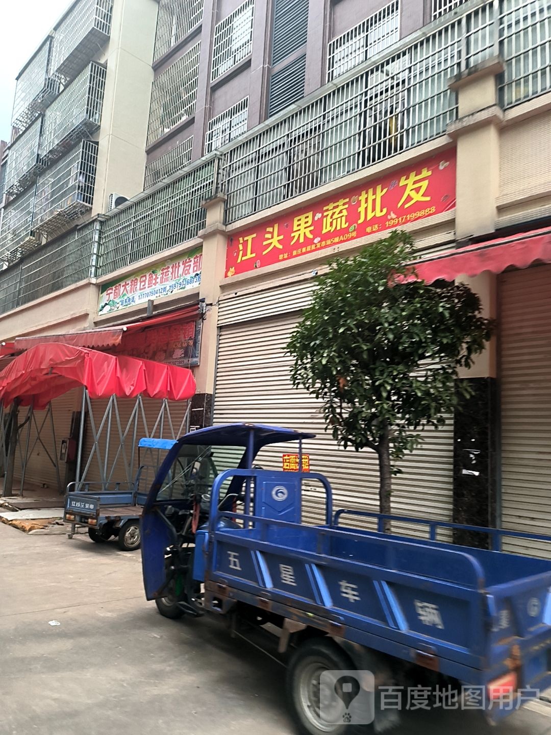 江头果树批发