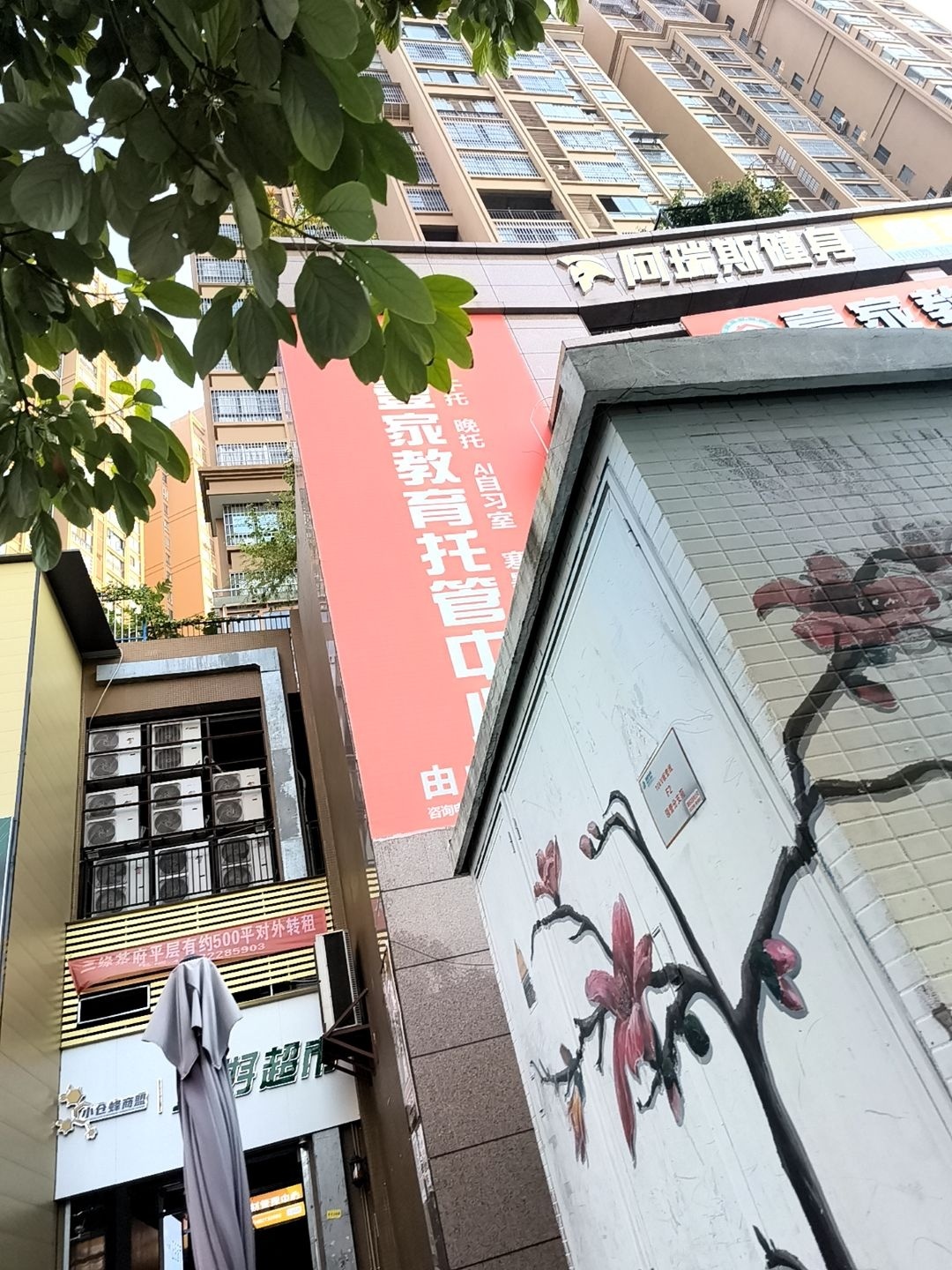 阿瑞斯健身