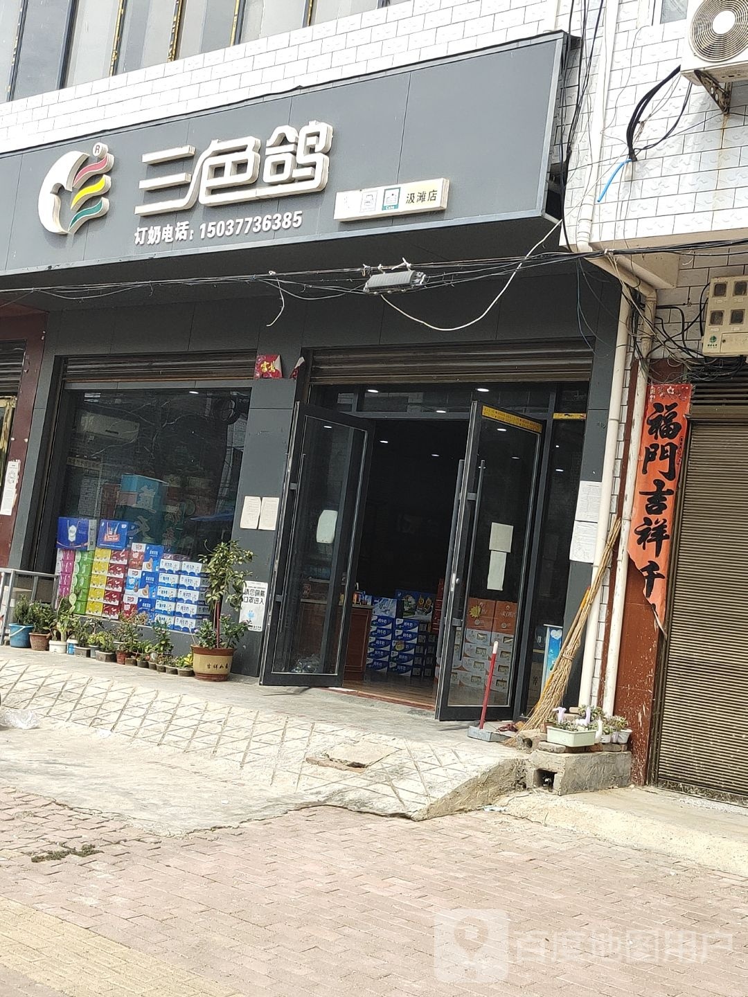 邓州市汲滩镇三色鸽(文化路店)