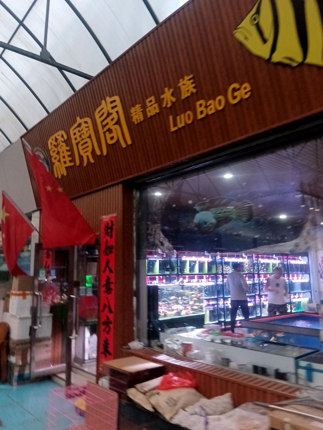 罗宝阁精品水族
