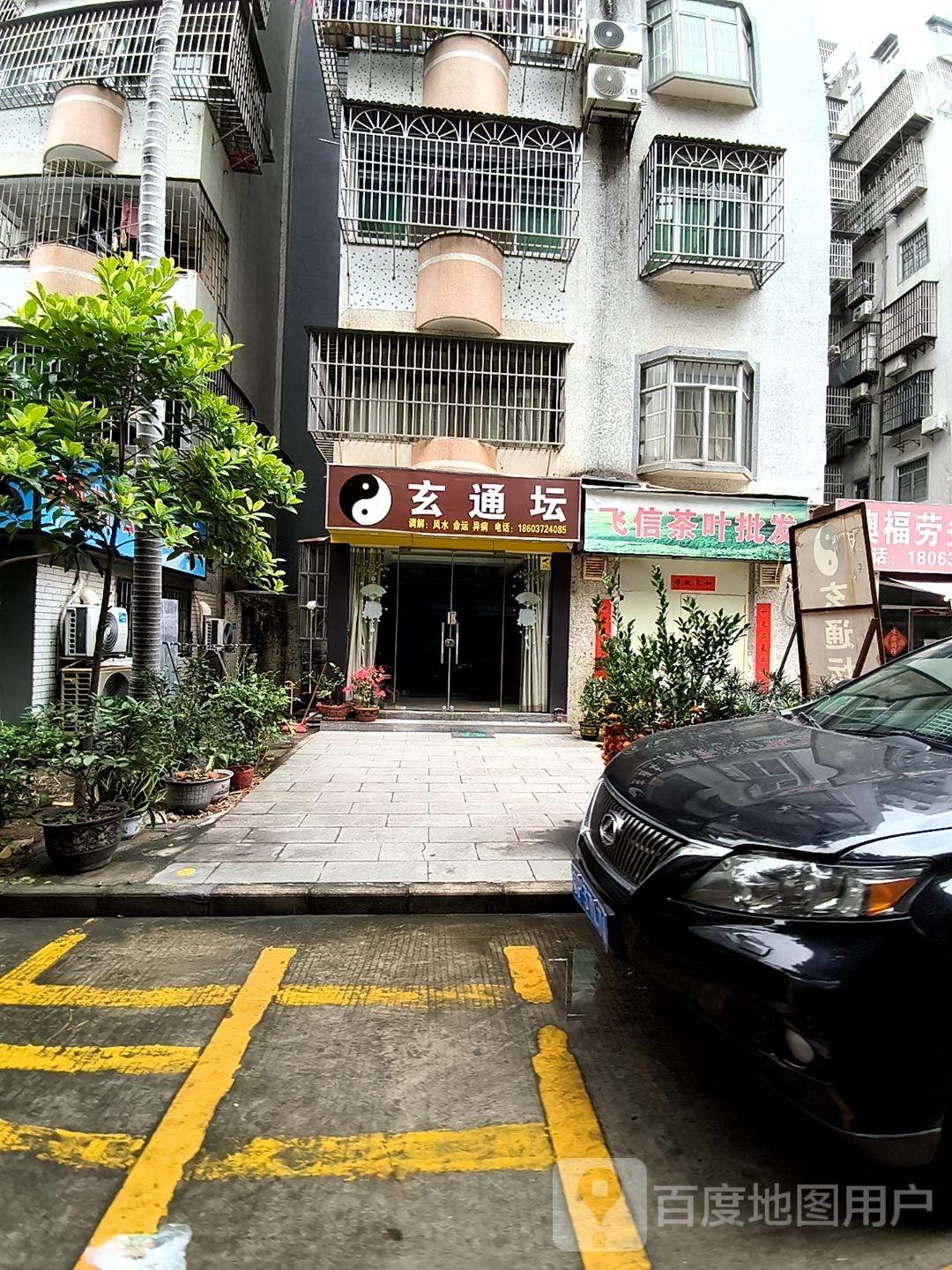 飞信茶叶批发
