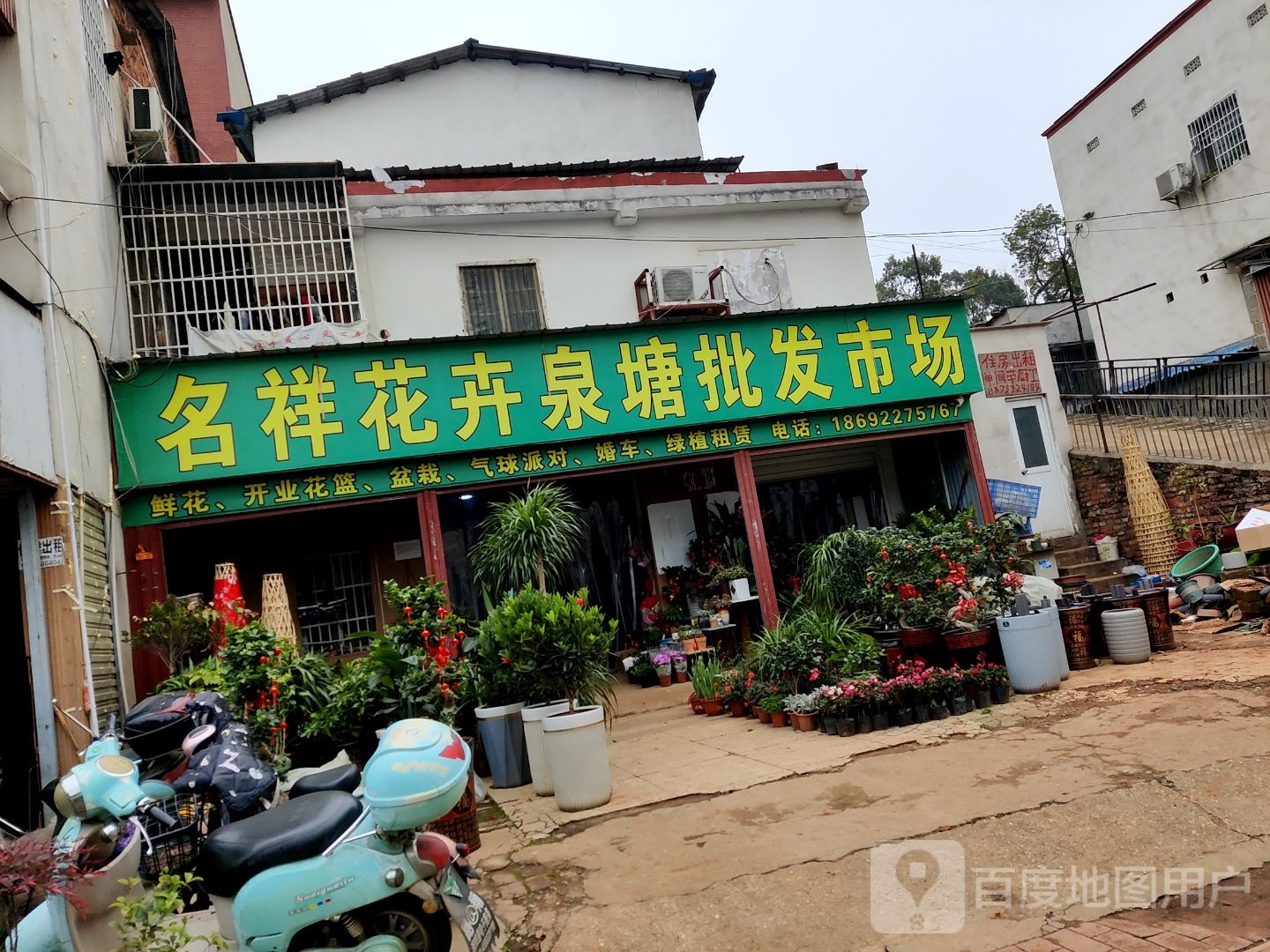 名祥花卉(泉塘批发市场)
