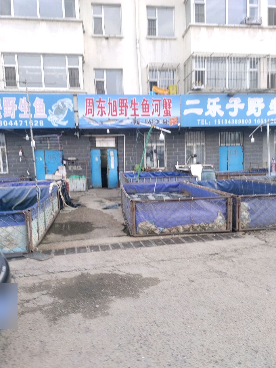 二乐子野生鱼批发