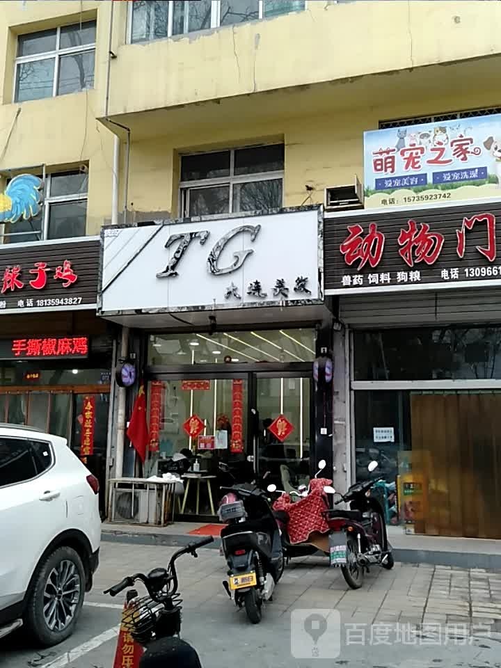 TG大连没法