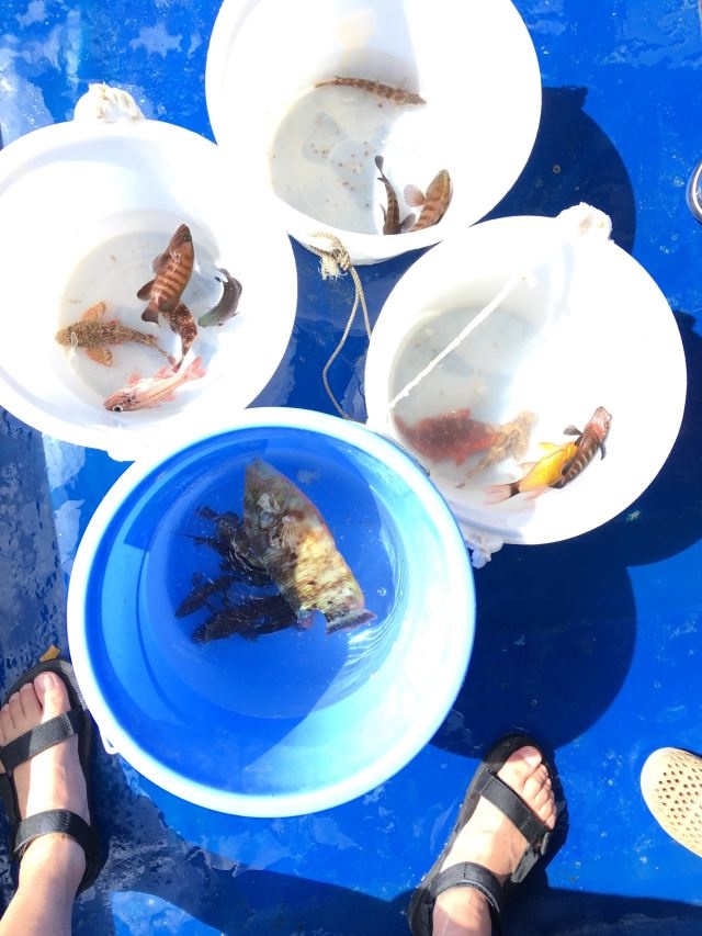 情人湾海钓