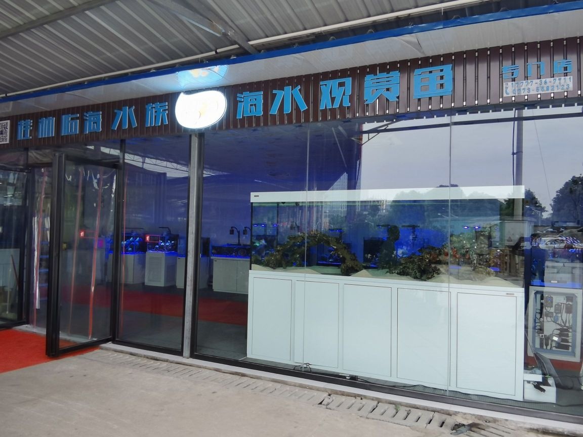 临海水景海水观赏鱼专门店