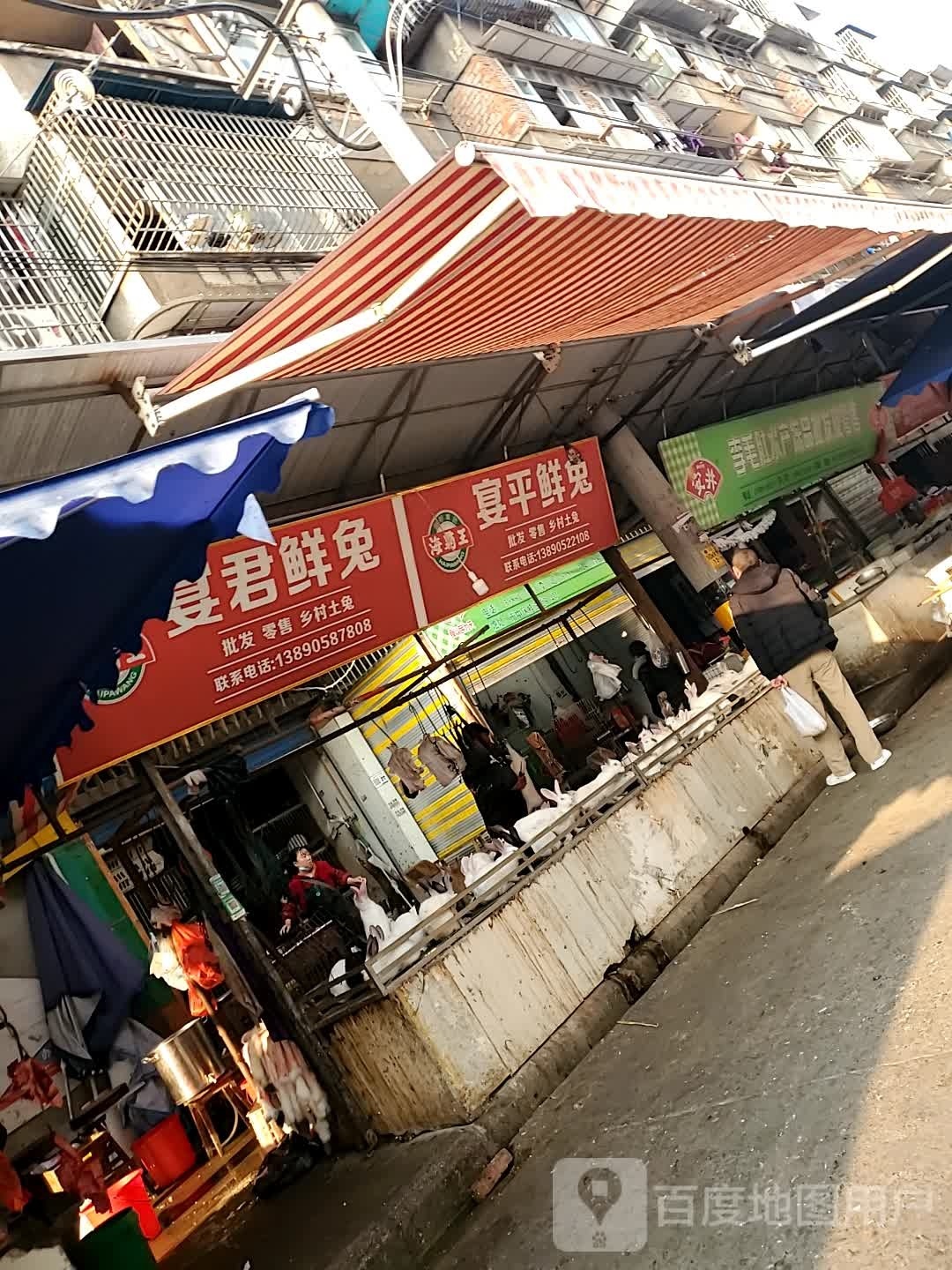 李毛肚水产冻频批发及零售
