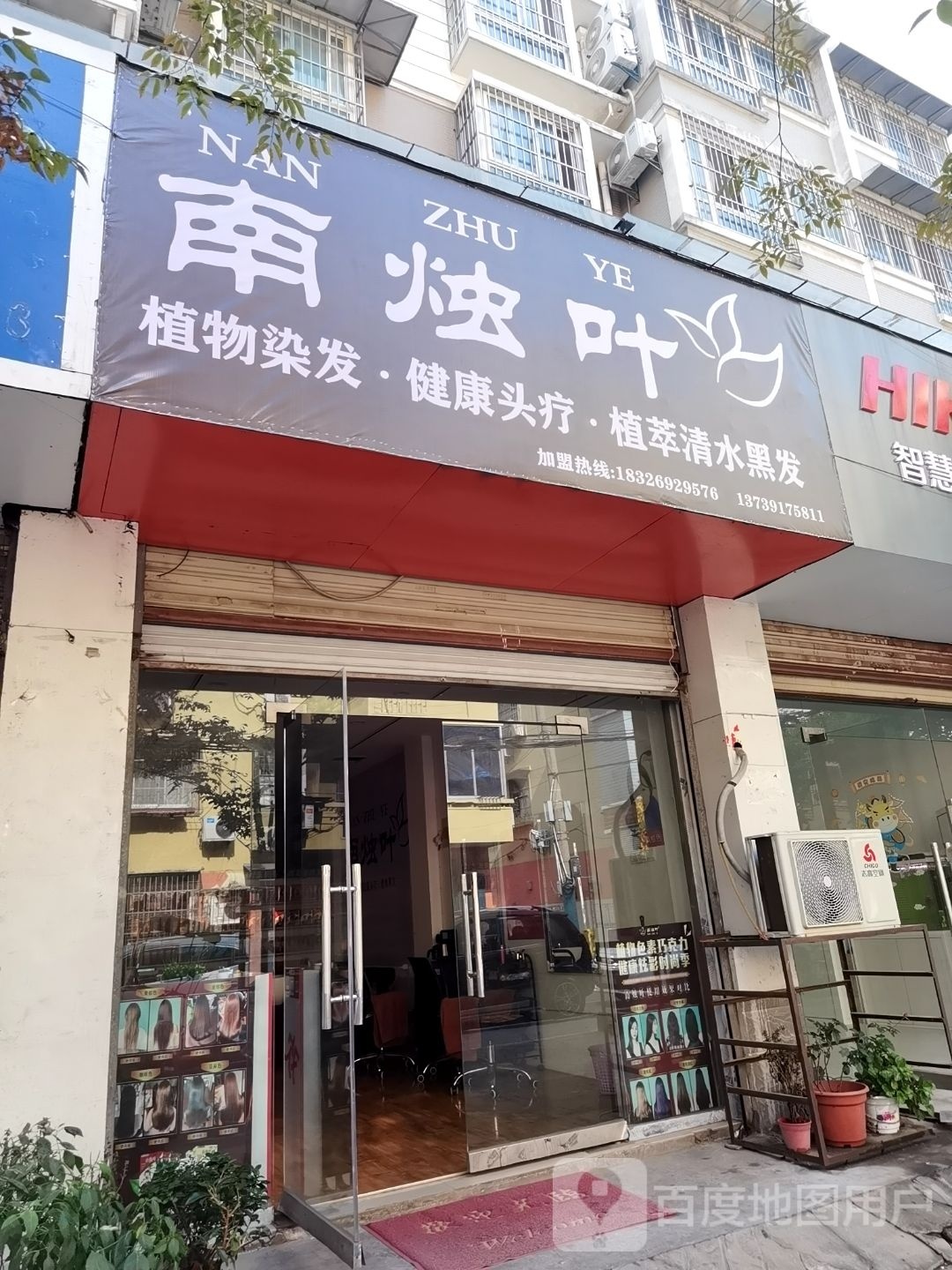 南竹叶