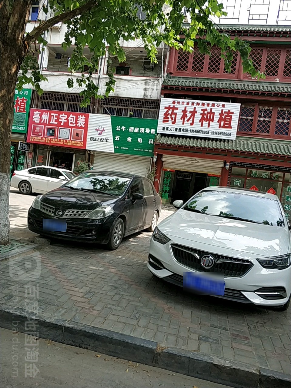 亳州市金苗种植有限公司
