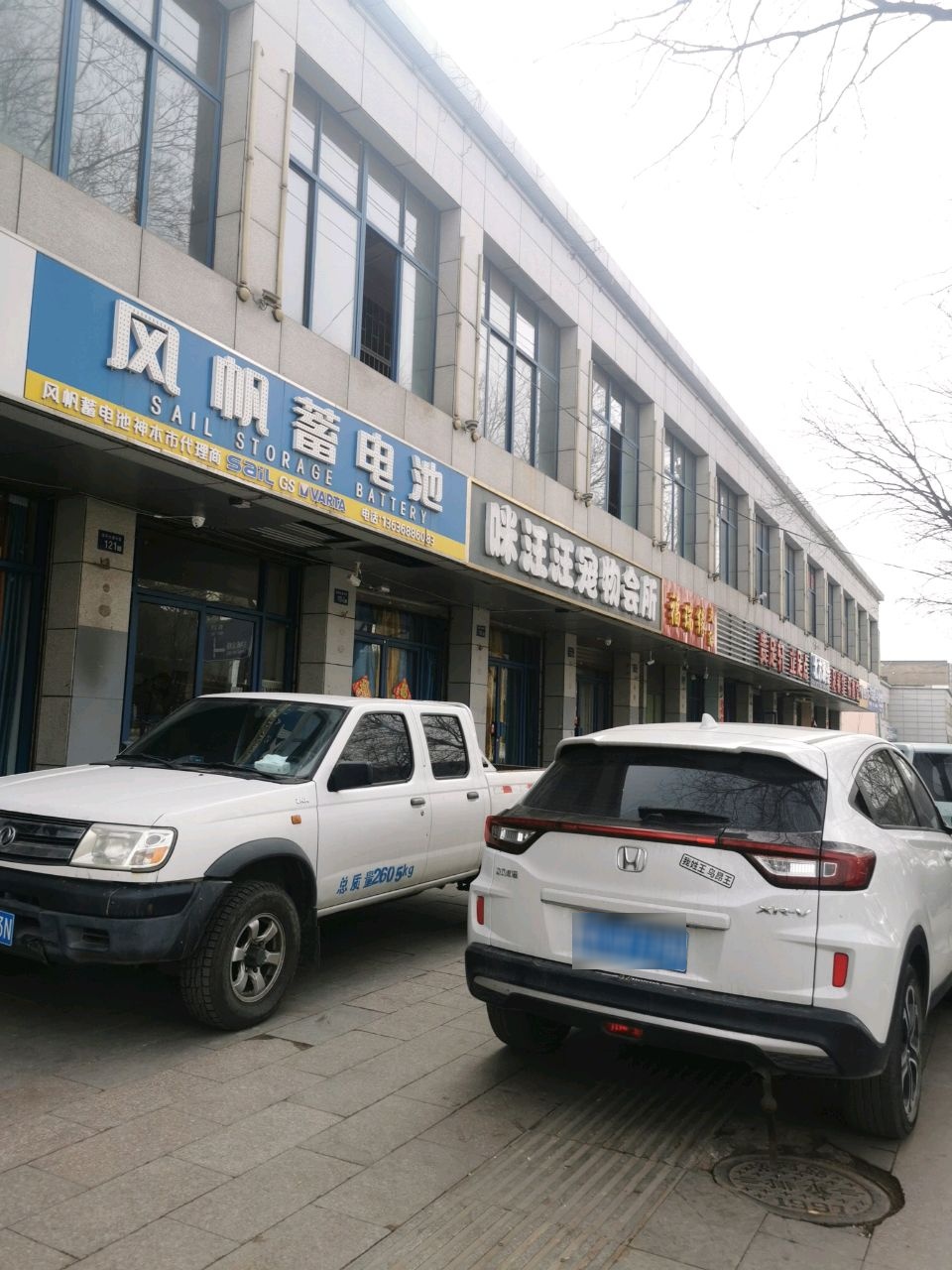 咪汪汪宠物会所